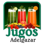 Logo of Jugos para Adelgazar android Application 